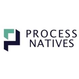 Process Natives Logo